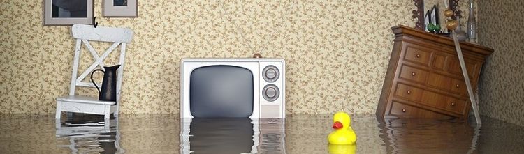 Как Составить Исковое Заявление в Суд на Соседей Которые Затопили