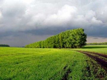 Образец Искового Заявления о Снятии Земельного Участка с Кадастрового Учета Как Ранее