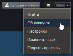 Можно ли купить игру в стим после возврата денег