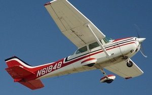 Животные обмену и возврату не подлежат